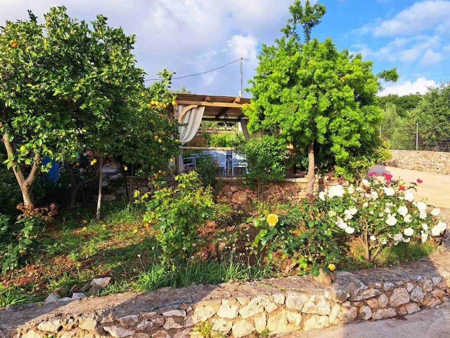 Holiday home Fragosiko - Rustic Retreat In Kefalonia Argostoli (Kefalonia)