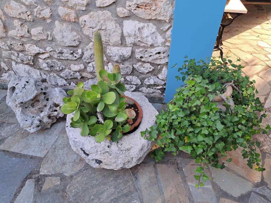 Holiday home Fragosiko - Rustic Retreat In Kefalonia *