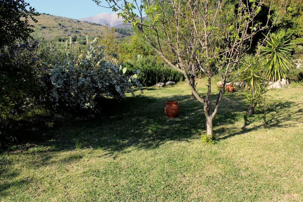 Fragosiko - Rustic Retreat In Kefalonia Holiday home Argostoli (Kefalonia)