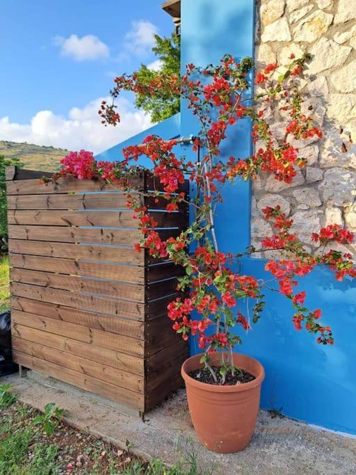 Fragosiko - Rustic Retreat In Kefalonia *