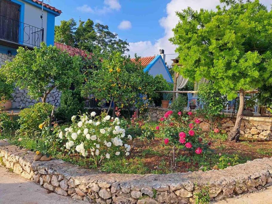 Holiday home Fragosiko - Rustic Retreat In Kefalonia *