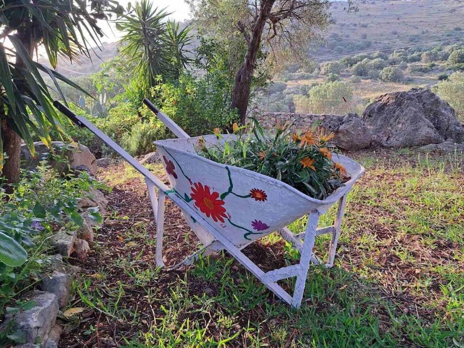 Fragosiko - Rustic Retreat In Kefalonia * Argostoli (Kefalonia)