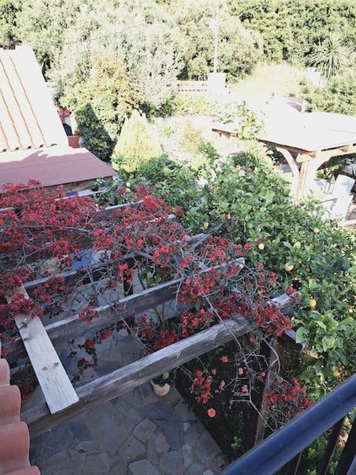 Fragosiko - Rustic Retreat In Kefalonia Argostoli (Kefalonia)