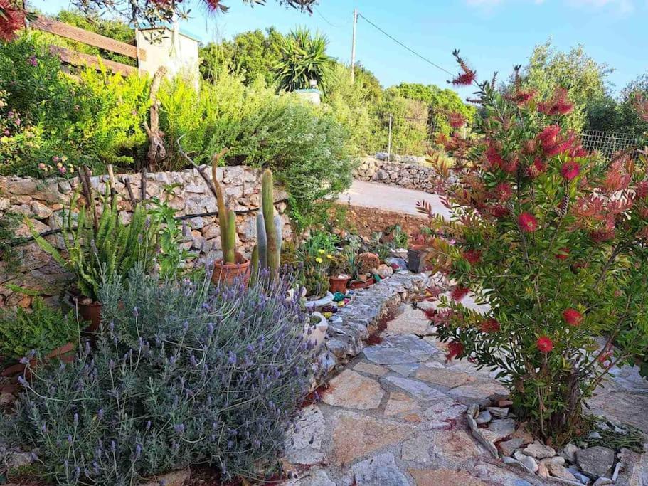 Fragosiko - Rustic Retreat In Kefalonia *